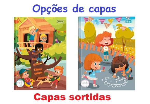 https://colegioobjetivoaricanduva.papelariapremium.com.br/image/cache/data/eftr/Img_ftr_rp_179101-580x400.JPG