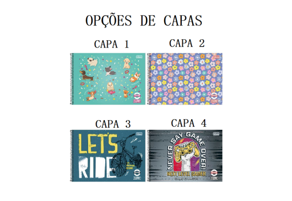https://colegioobjetivoaricanduva.papelariapremium.com.br/image/cache/data/eftr/Img_ftr_rp_395601-580x400.PNG