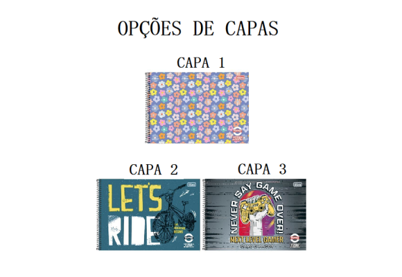 https://colegioobjetivoaricanduva.papelariapremium.com.br/image/cache/data/eftr/Img_ftr_rp_395701-580x400.PNG