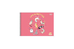 CADERNO ESPIRAL CD CARTOGRAFIA 96 FLS D+ FEM