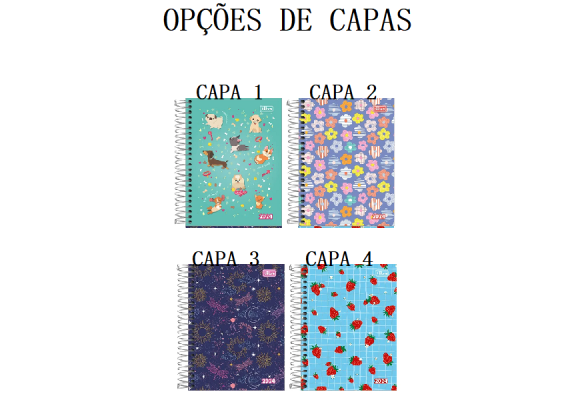 https://colegioobjetivoaricanduva.papelariapremium.com.br/image/cache/data/eftr/Img_ftr_rp_409101-580x400.PNG