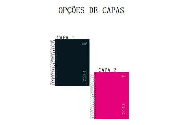 https://colegioobjetivoaricanduva.papelariapremium.com.br/image/cache/data/eftr/Img_ftr_rp_409301-580x400.PNG